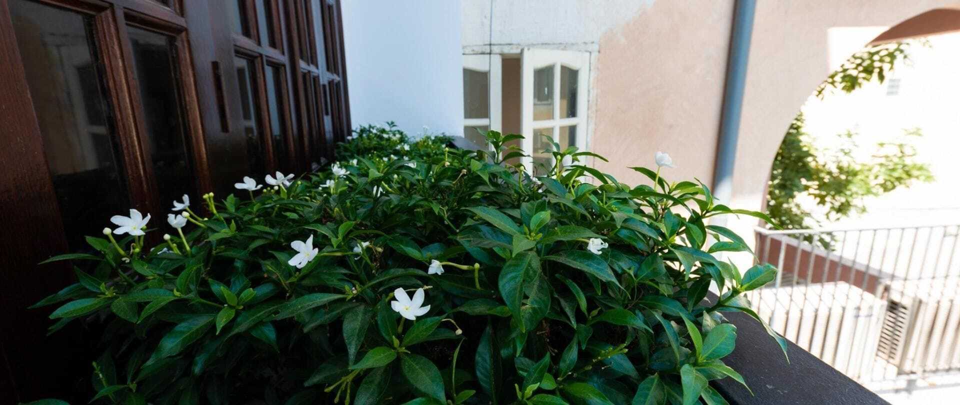胡志明市泰安旅馆-机场店公寓 外观 照片